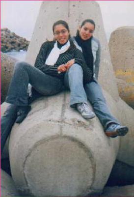 mardiche nasike